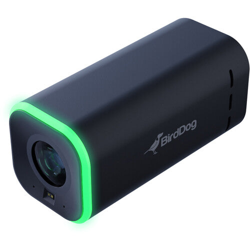 BirdDog MAKI Live (Negro) BDMKLB