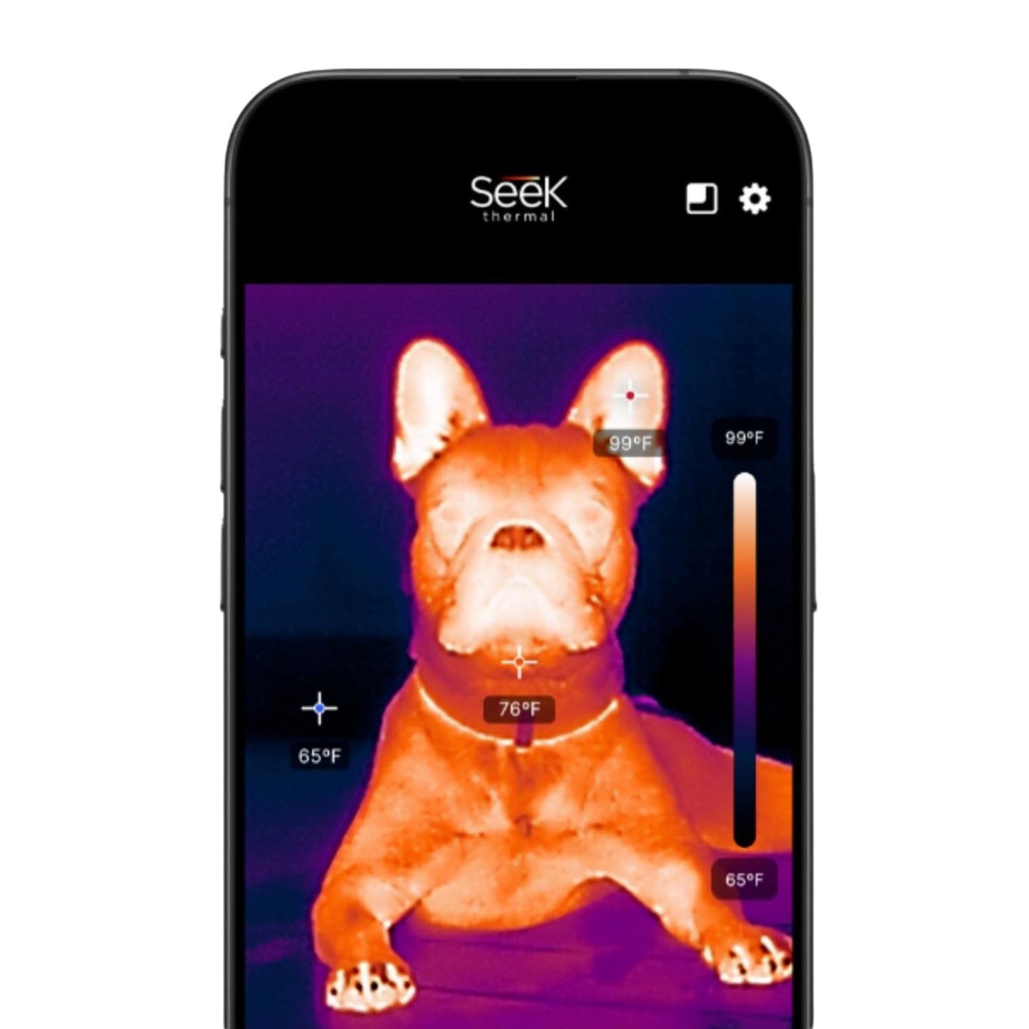 Seek Thermal - Cámara térmica Nano 200 para Apple iOS con conector Lightning, cámara térmica para iPhone, cámara térmica de alta resolución de 200 x 150, velocidad de cuadro de imágenes de 25 Hz, -4