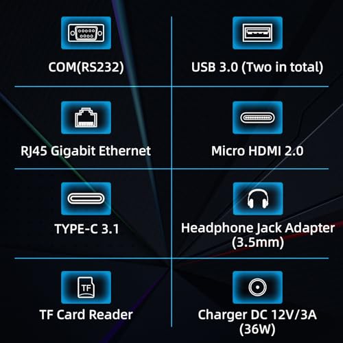 HIGOLEPC Tablet resistente de 10.1 pulgadas Win 11 Pro Celeron N4120 8GB RAM 128 GB ROM Windows Tablet, 600 Nit Outdoor Tablet PC, IP67 impermeable, 16000mAh/3.7V Batería WiFi 5 BT 5.0 - F7G-SUN