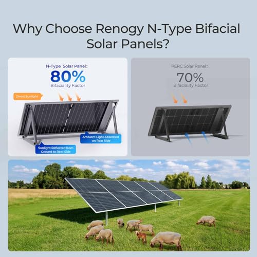 Renogy Bifacial - 2 paneles solares monocristalinos tipo N de 590 W, 12 V, 16 BB, módulo solar de alta eficiencia del 25 % para casa rodante, cobertizo, remolque, cámper, RSP590DCT-144