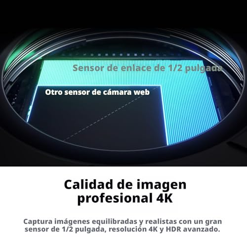 Insta360 Link 2 - Cámara web PTZ 4K para PC/Mac, sensor de 1/2 pulgada, seguimiento AI, HDR, micrófono con cancelación de ruido AI, control de gestos para transmisión, videollamadas, juegos CINSABNB-ST