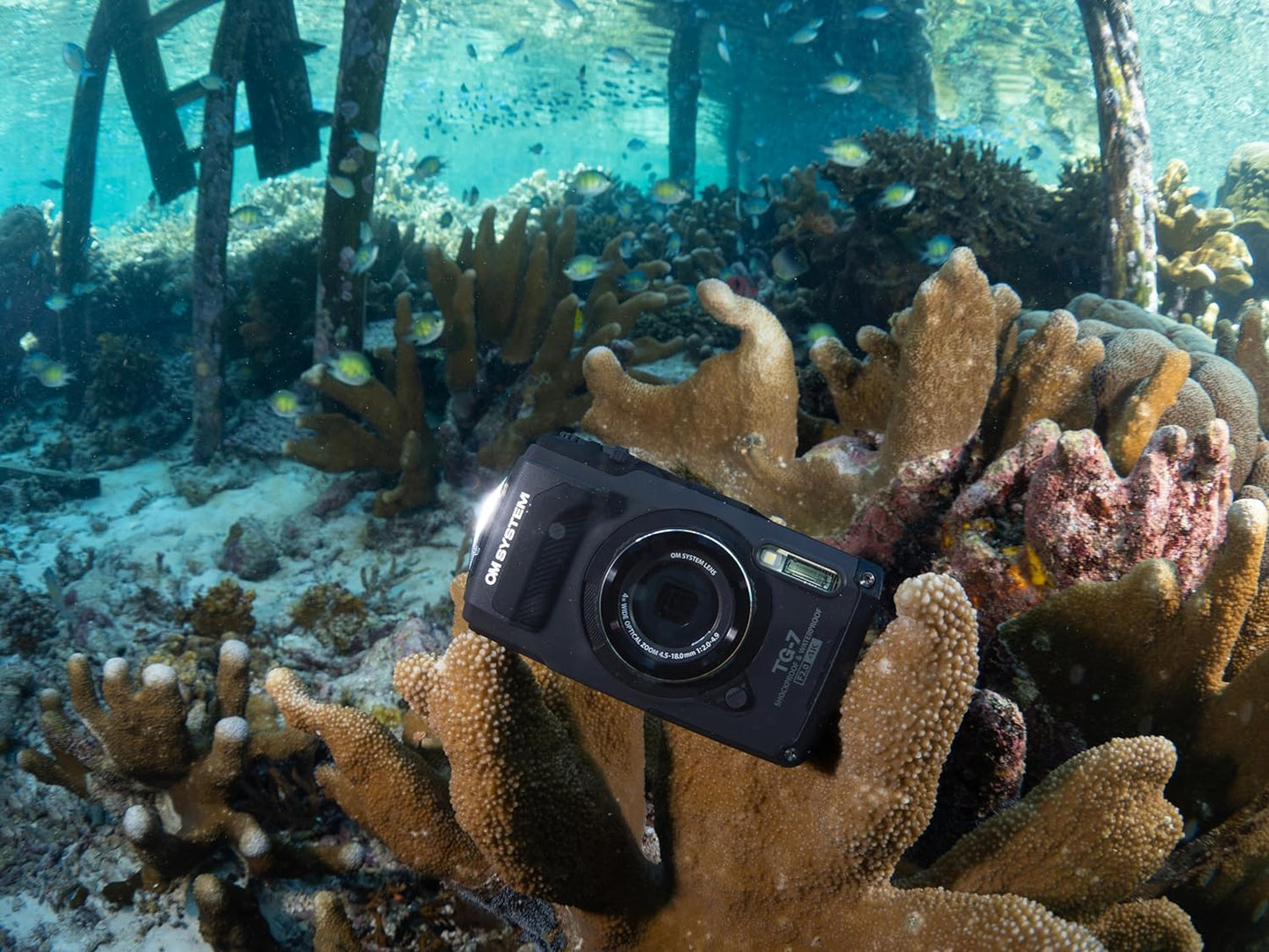 OM SYSTEM Tough TG-7 - Cámara subacuática negra, impermeable, a prueba de congelación, brillo de alta resolución, video 4K 44x Macro Shooting (Successor Olympus TG-6)
