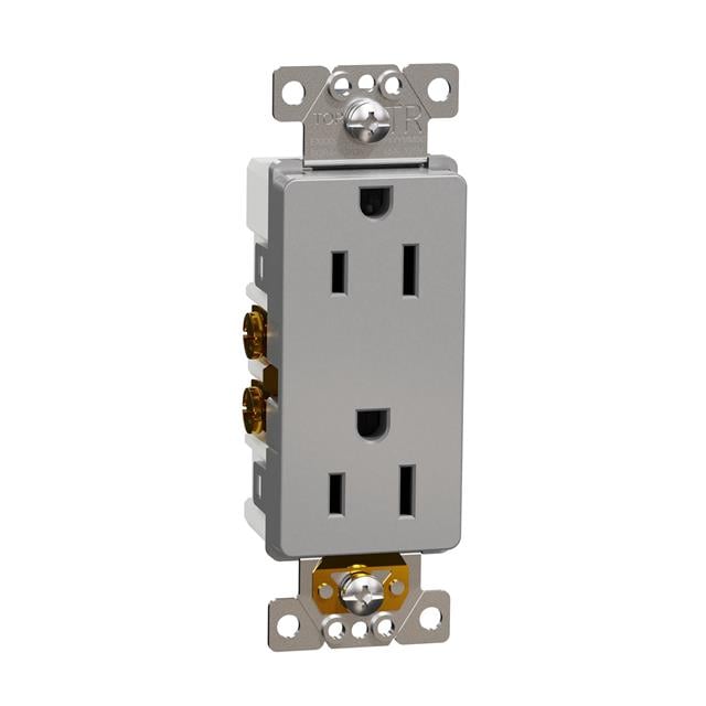 Schneider Electric SQR44101GY X NEMA 5-15R Receptáculo, enchufes hembra 15A 125V