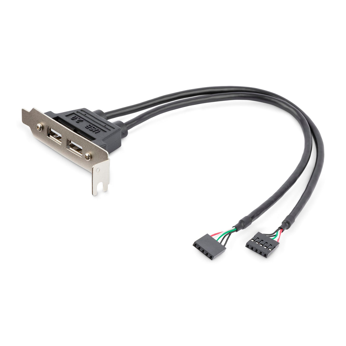 StarTech.com USBPLATELP - USB A hembra (2) a rectangular 5 pos hembra (2) 0.93' (284.5mm)