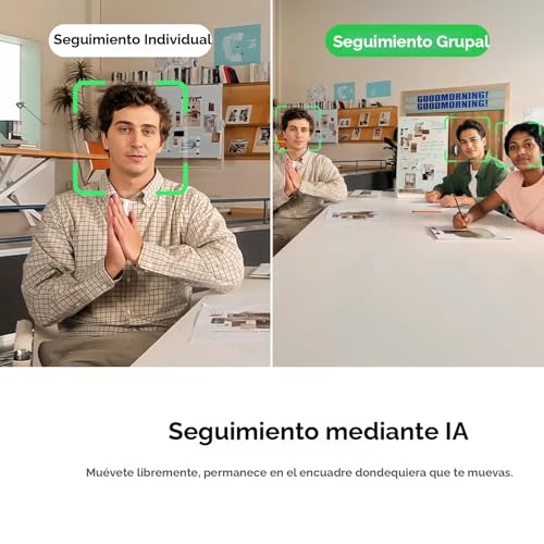 Insta360 Link 2 - Cámara web PTZ 4K para PC/Mac, sensor de 1/2 pulgada, seguimiento AI, HDR, micrófono con cancelación de ruido AI, control de gestos para transmisión, videollamadas, juegos CINSABNB-ST
