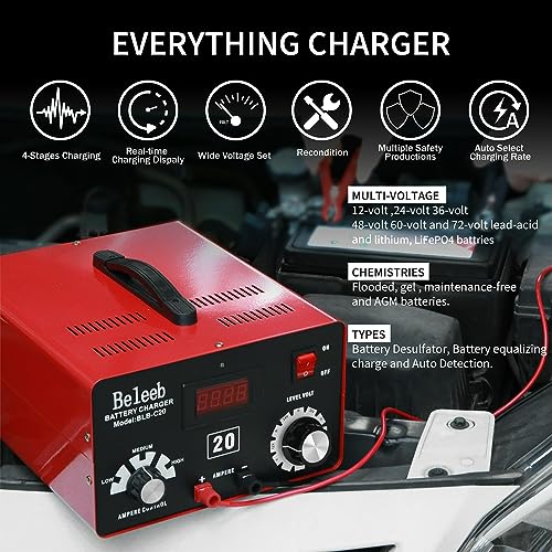 Beleeb Cargador de batería ajustable C20 12V 24V 36V 48V, 12A pulsos de alto voltaje desulfatador de batería mantenedor con chip inteligente para baterías de litio LiFePO4 de plomo-ácido BLB-C20