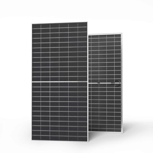 Renogy Bifacial - 2 paneles solares monocristalinos tipo N de 590 W, 12 V, 16 BB, módulo solar de alta eficiencia del 25 % para casa rodante, cobertizo, remolque, cámper, RSP590DCT-144