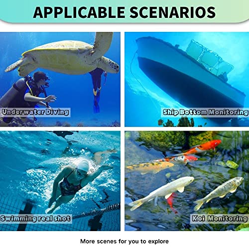 Barlus Cámara subacuática mejorada Lente de enfoque ajustable 5MP Full HD Video POE Cámara para Koi Pond