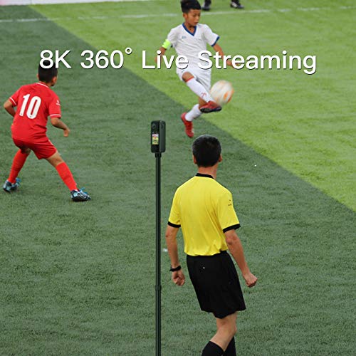 Labpano Pilot One IP65 Clasificación Profesional 8K 360° Cámara (edición mejorada) (128GB)