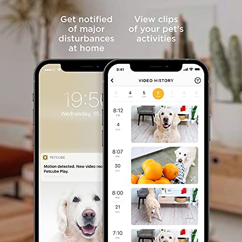 Petcube Bites 2 Lite Cámara interactiva WiFi de monitoreo de mascotas con aplicación de teléfono y dispensador de golosinas, video HD de 1080p,