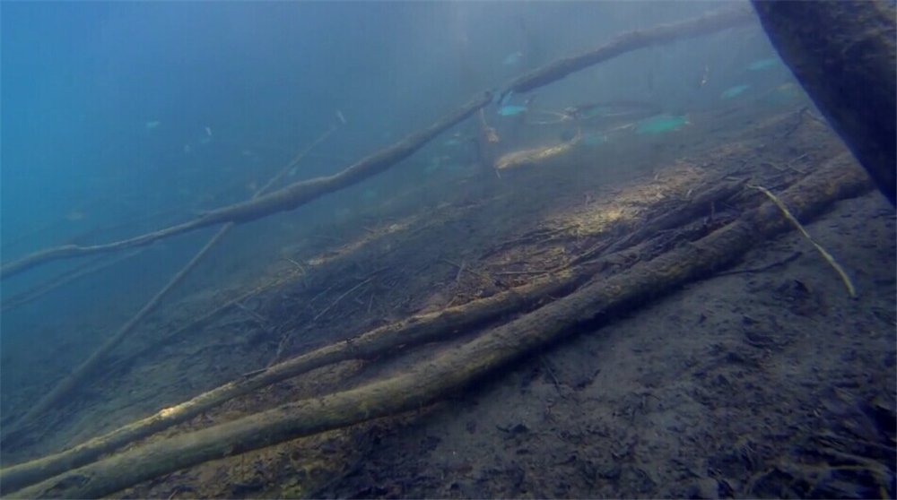 ThorRobotics Underwater Drone Camera Drones Trenchrover110 ROV Underwater Robot with Ground Station Type1.Wire & Ground Station Version