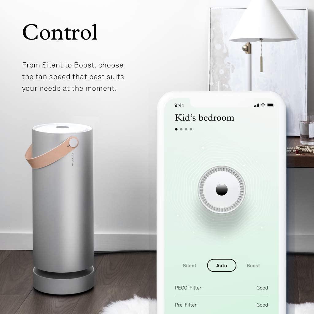 Molekule Air - Purificador de aire para habitación grande con tecnología PECO para alérgenos, contaminantes, virus, bacterias y moho, color plateado