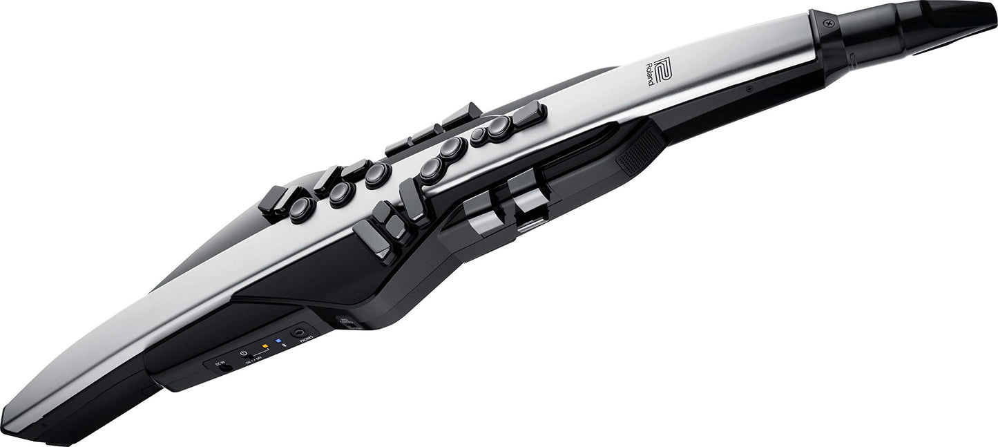 Roland Aerophone Pro - Instrumento de viento digital, grado profesional con diseño refinado, componentes de primera calidad y motores de sonido avanzados (AE-30), gris, negro