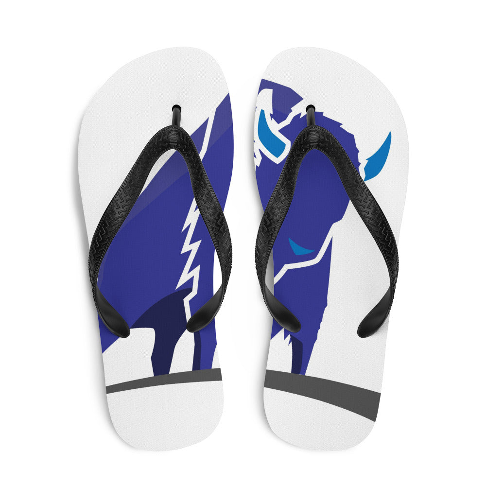 Chanclas
