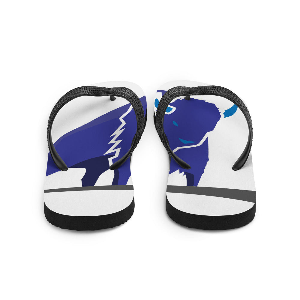 Chanclas