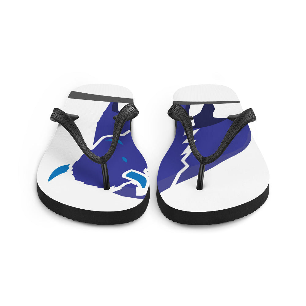 Chanclas
