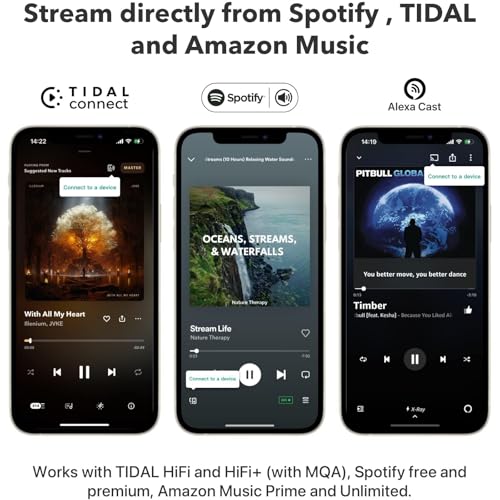 WiiM Mini AirPlay 2 - Streamer de audio inalámbrico, estéreo multihabitación, preamplificador, funciona con asistentes de voz Alexa y Siri, transmite audio de alta resolución desde Amazon Music, Tidal ASR001