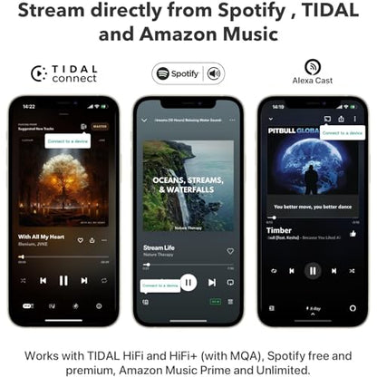 WiiM Mini AirPlay 2 - Streamer de audio inalámbrico, estéreo multihabitación, preamplificador, funciona con asistentes de voz Alexa y Siri, transmite audio de alta resolución desde Amazon Music, Tidal ASR001