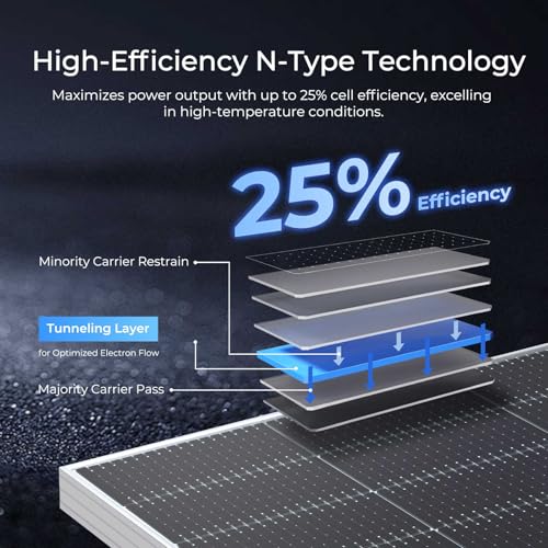 Renogy Bifacial - 2 paneles solares monocristalinos tipo N de 590 W, 12 V, 16 BB, módulo solar de alta eficiencia del 25 % para casa rodante, cobertizo, remolque, cámper, RSP590DCT-144