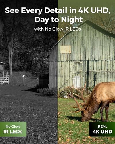 Reolink Go Ranger PT+SP Primera cámara de vigilancia para fauna silvestre 4K 4G LTE con visión panorámica de 360°. 4K 8MP Ultra HD Detección y reconocimiento de animales Alimentación por batería/solar Visión Nocturna sin brillo IP65