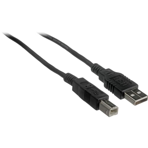BirdDog Cámara PTZ X1 Full HD NDI | HX3 20x Zoom - Paquete blanco con cable HDMI de 6 pies y cable USB 2.0 de 6 pies