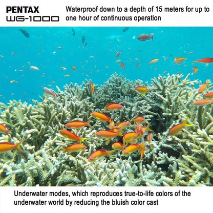 PENTAX WG-1000 - Cámara compacta digital resistente al agua, diseñada para fotografías informales al aire última intervensión y subacuáticas, impermeable hasta una profundidad de 15m MFR: 02155