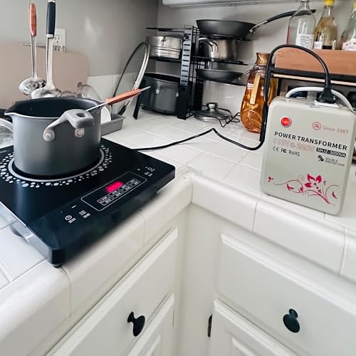 SUNSHUN SHJZ-3000VA Transformador convertidor de voltaje de 3000 vatios (3000 W) de 110 V a 220 V adaptador transformador para uso en los Estados Unidos para electrodomésticos europeos y asiáticos