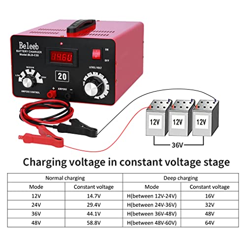 Cargador de batería ajustable C20 12V 24V 36V 48V, 12A pulsos de alto voltaje desulfatador de batería mantenedor con chip inteligente para baterías de litio LiFePO4 de plomo-ácido BLB-C20