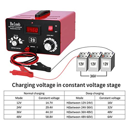 Cargador de batería ajustable C20 12V 24V 36V 48V, 12A pulsos de alto voltaje desulfatador de batería mantenedor con chip inteligente para baterías de litio LiFePO4 de plomo-ácido BLB-C20