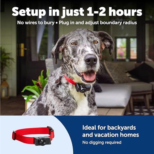 PetSafe Sistema inalámbrico de contención de mascotas ‎ PIF-300