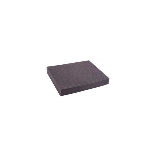 REED Instruments R8890-FOAM - Termómetro Espuma