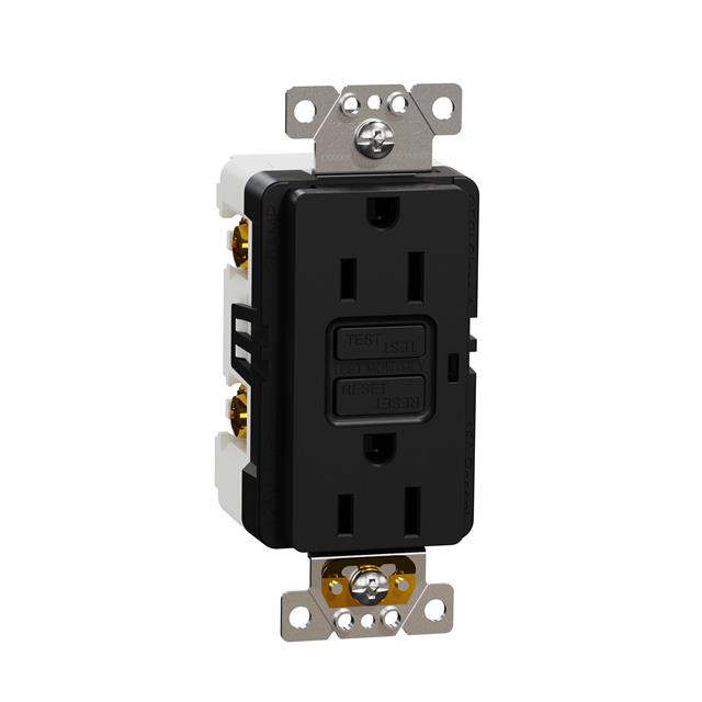 Schneider Electric SQR51101BK X - Receptáculo, toma hembra 15A 125V