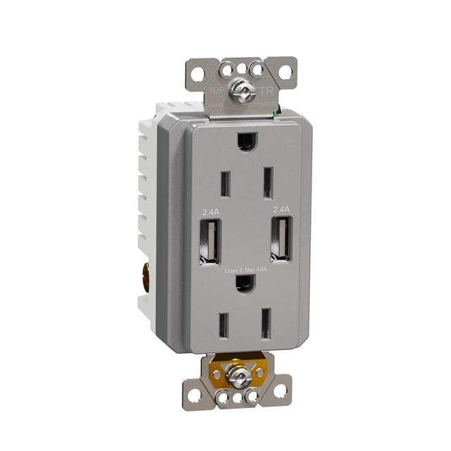 Schneider Electric SQR55141GY X - Receptáculo, toma hembra 15A 125V