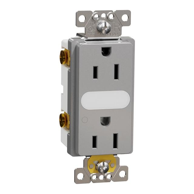 Schneider Electric SQR57101GY X - Receptáculo, toma hembra 15A 125V