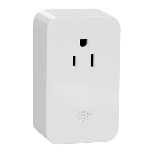 Schneider Electric SQR621U1WHW X - Receptáculo, toma hembra 15A 125V