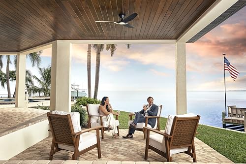 Big Ass Fans Haiku Coastal - Ventilador de techo inteligente para exteriores de 52 pulgadas COSTERO/MARINO con control remoto para patio interior y cubierto, clasificación costera, resistente a la corrosión, negro mate - 	MK-HKC1-042506A258F258I05S2