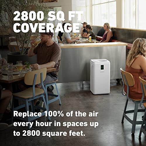 HATHASPACE Purificador de aire de doble filtración para el hogar, habitación oficina, con filtro de aire HEPA alergias, humo, limpiador de aire inteligente silencioso, elimina el 99.9% del polvo, moho, caspa de mascotas, olores, polen HSP003 H13