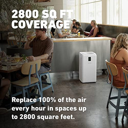 HATHASPACE Purificador de aire de doble filtración para el hogar, habitación oficina, con filtro de aire HEPA alergias, humo, limpiador de aire inteligente silencioso, elimina el 99.9% del polvo, moho, caspa de mascotas, olores, polen HSP003 H13
