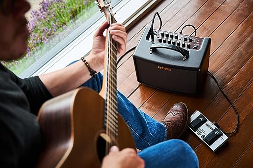 Boss Amplificador de guitarra acústica AC-22 LX