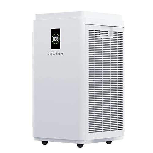 HATHASPACE Purificador de aire de doble filtración para el hogar, habitación oficina, con filtro de aire HEPA alergias, humo, limpiador de aire inteligente silencioso, elimina el 99.9% del polvo, moho, caspa de mascotas, olores, polen HSP003 H13