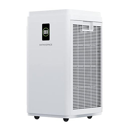 HATHASPACE Purificador de aire de doble filtración para el hogar, habitación oficina, con filtro de aire HEPA alergias, humo, limpiador de aire inteligente silencioso, elimina el 99.9% del polvo, moho, caspa de mascotas, olores, polen HSP003 H13