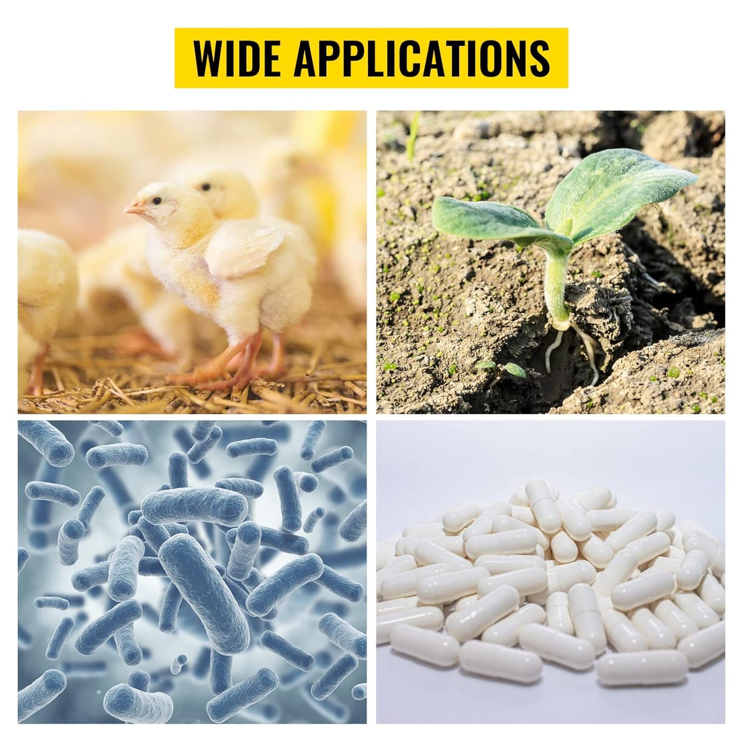 VEVOR Incubadora de laboratorio Incubadora de bacterias 20L RT-149.0 °F Incubadora digital científica PID Control de temperatura Incubadora de laboratorio microbiológico para cultivo bacteriano Germinación de semillas Ciencia médica