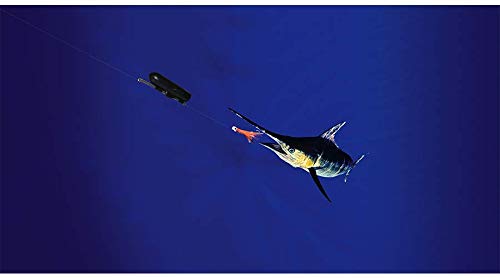 GoFish Cam Wireless Underwater Fishing Camera