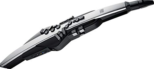Roland Aerophone Pro - Instrumento de viento digital, grado profesional con diseño refinado, componentes de primera calidad y motores de sonido avanzados (AE-30), gris, negro