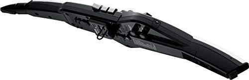 Roland Aerophone Pro - Instrumento de viento digital, grado profesional con diseño refinado, componentes de primera calidad y motores de sonido avanzados (AE-30), gris, negro