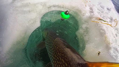GoFish Cam Wireless Underwater Fishing Camera