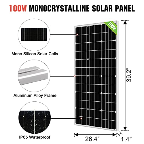 ECO-WORTHY Kit de bomba de agua solar de pozo profundo de 12 V CC con 2 piezas de panel solar mono de 100 W, controlador de batería de 10 Ah para pozos 165ft