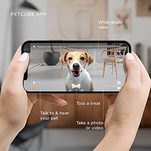 Petcube Bites 2 Lite Cámara interactiva WiFi de monitoreo de mascotas con aplicación de teléfono y dispensador de golosinas, video HD de 1080p,