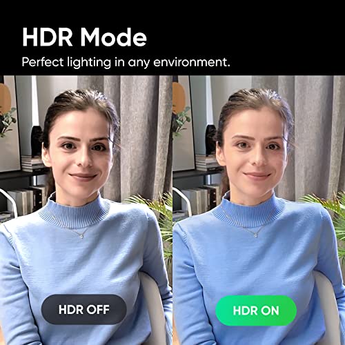 insta360 Link - Cámara web PTZ 4K con sensor de 1/2", seguimiento de IA, control de gestos, HDR, micrófonos con cancelación de ruido, modos especializados, cámara web para laptop, cámara de video para videollamadas, transmisión en vivo