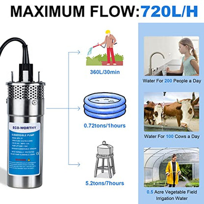 ECO-WORTHY Kit de bomba de agua solar de pozo profundo de 12 V CC con 2 piezas de panel solar mono de 100 W, controlador de batería de 10 Ah para pozos 165ft